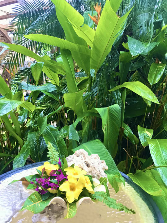 Gartenanlage Villa Seewoo