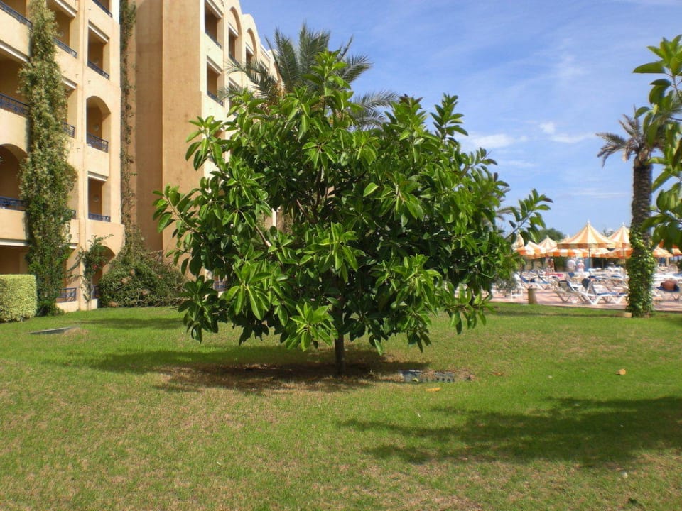 Gartenanlage Nour Palace Resort & Thalasso