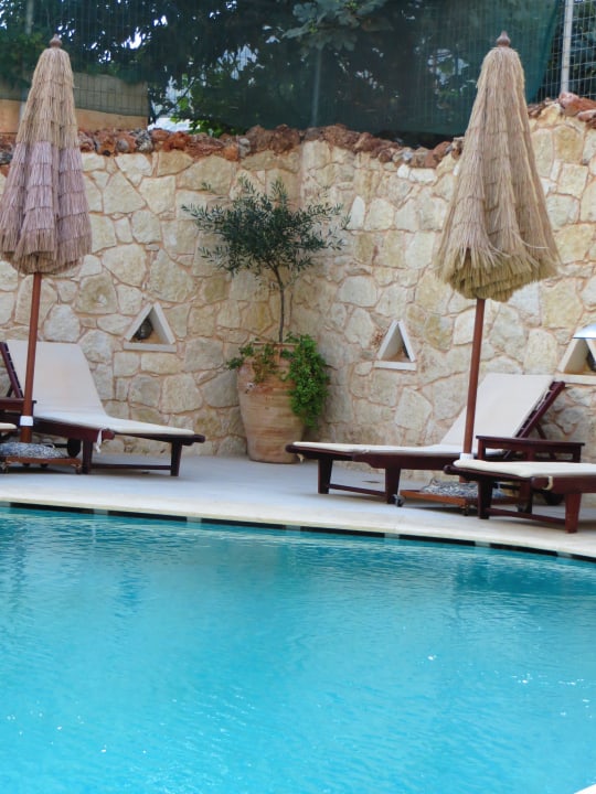 Kleiner Pool Cactus Royal