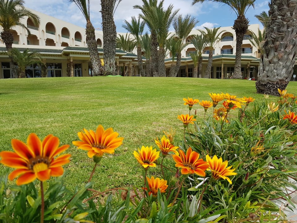 Garten Iberostar Waves Averroes