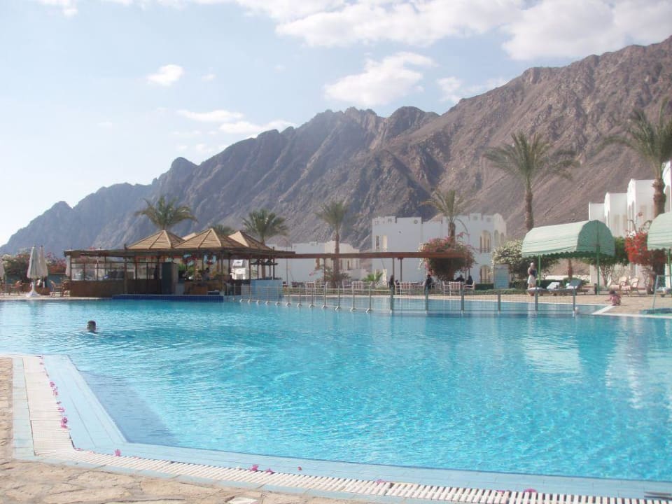 Pool mit Bar Happy Life Village