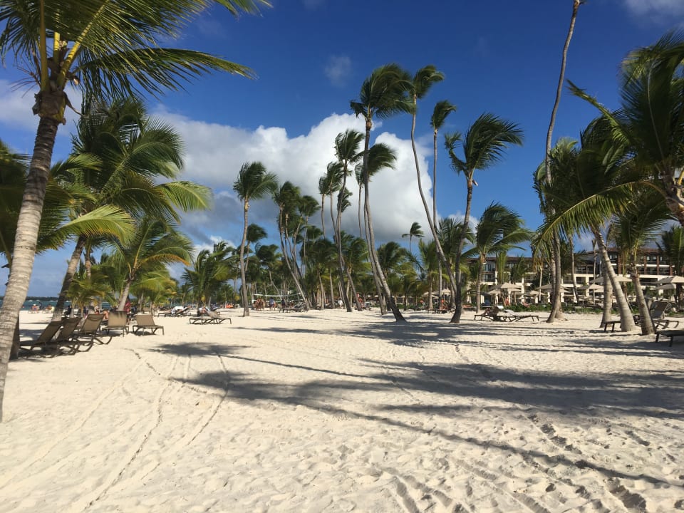 Strand Lopesan Costa Bávaro Resort, Spa & Casino