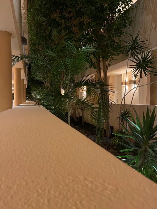 Zimmer Iberostar Selection Fuerteventura Palace