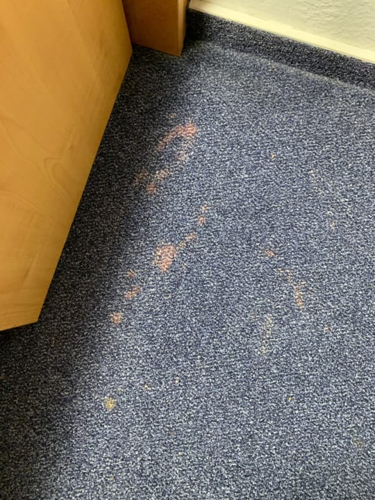 Zimmer acora Karlsruhe Zentrum Living the City