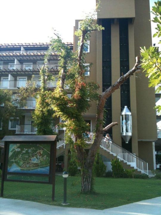 Hotel Otium Eco Club Side Marvida Family Eco