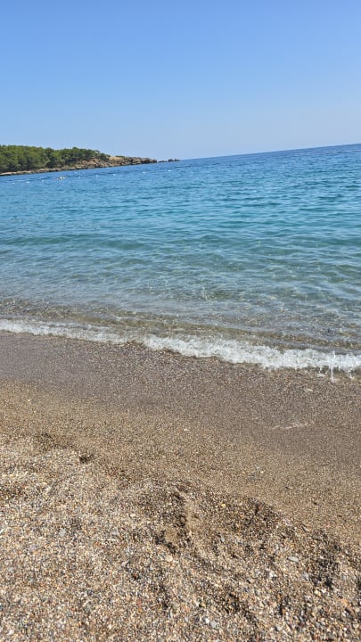 Strand Hotel Gardenia Beach