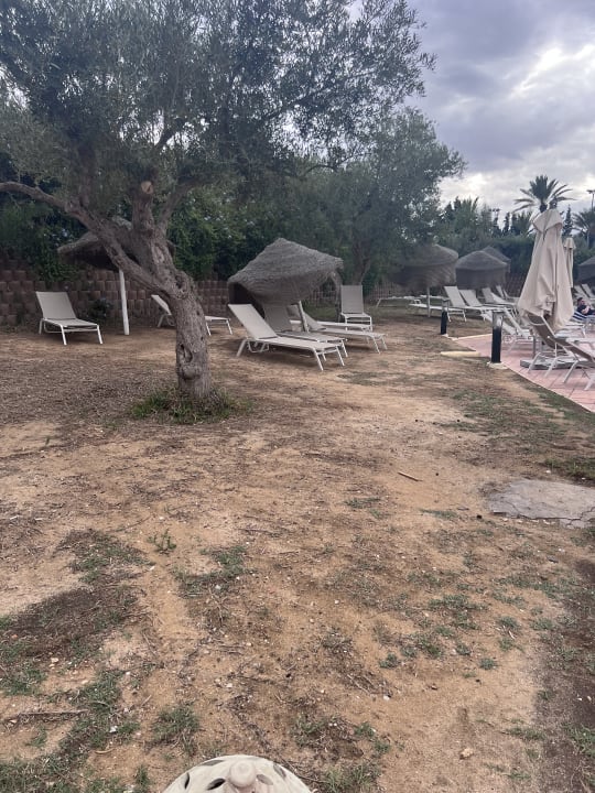 Pool Medina Solaria & Thalasso