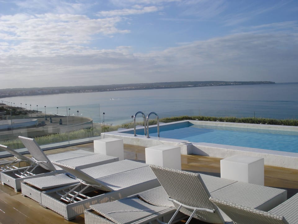 Dachterrasse HM Tropical