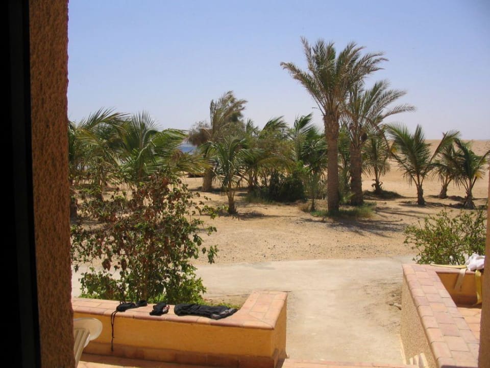 beach bungalow view Hotel Mangrove Bay Resort