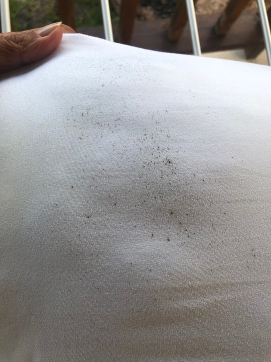 Zimmer Mirella  Villa