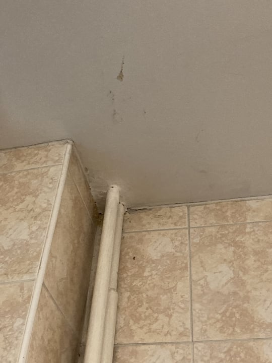 Zimmer Hotel Aura Design & Garden Pool