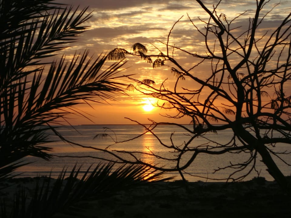 Sonnenaufgang Shams Alam Beach Resort
