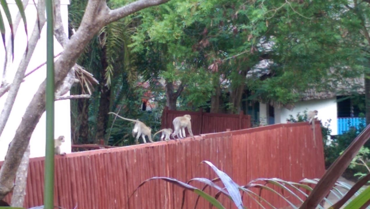 Sonstiges Bahari Beach Hotel