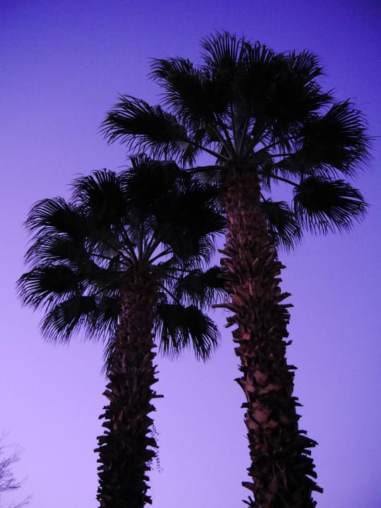 Sundowner Hampton Inn & Suites Cathedral City