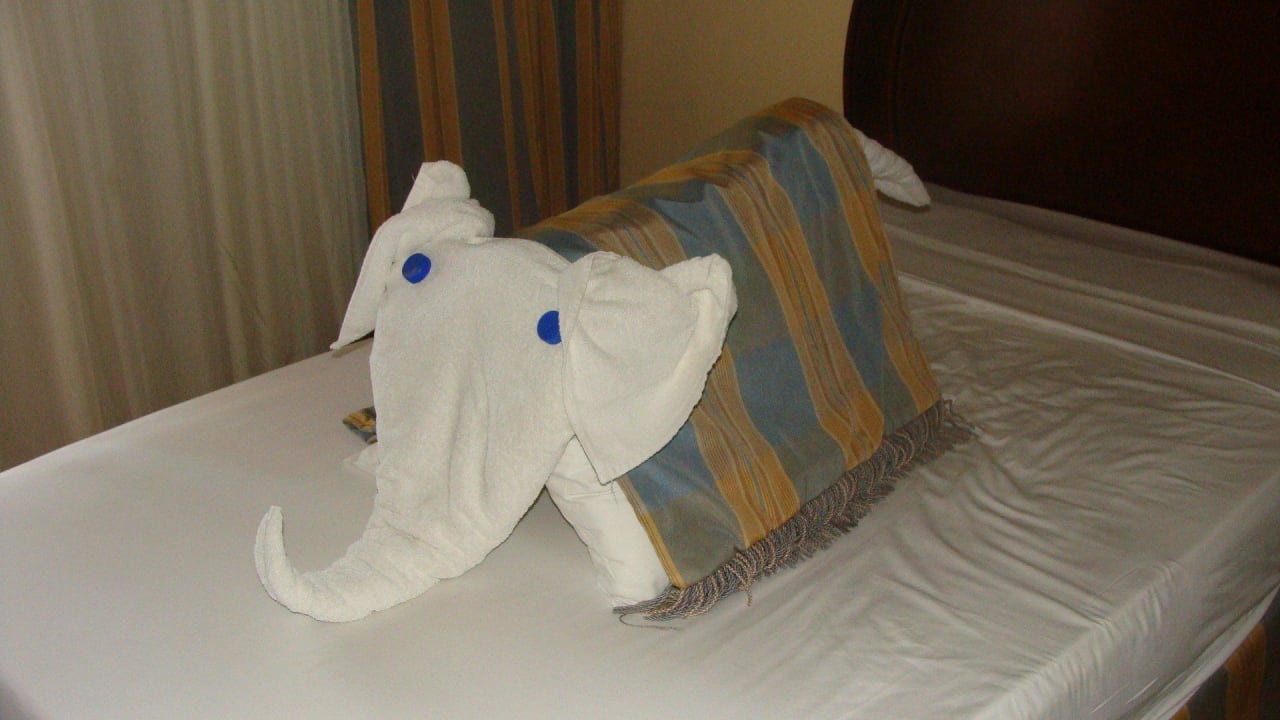 Niespodzianka w pokoju Stella Beach Resort & Spa Makadi Bay