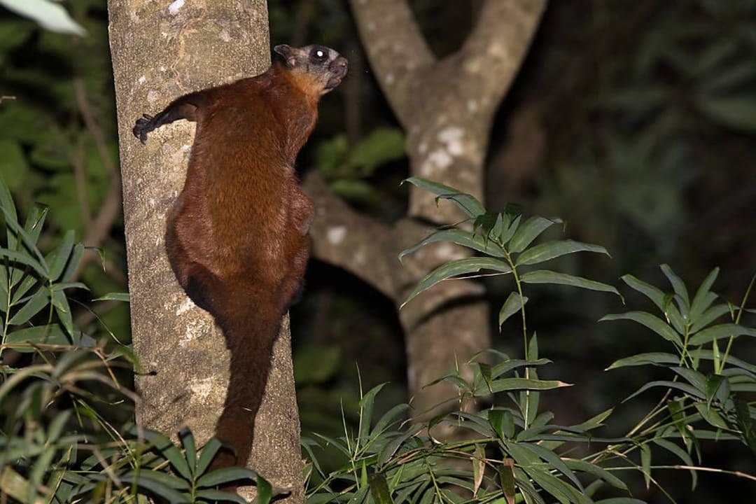 Hotel Berjaya Langkawi Beach & Spa Resort Berjaya Langkawi Resort