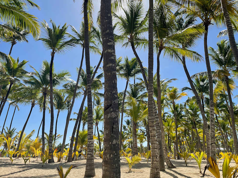 Strand Hotel Riu Palace Macao - Adults only