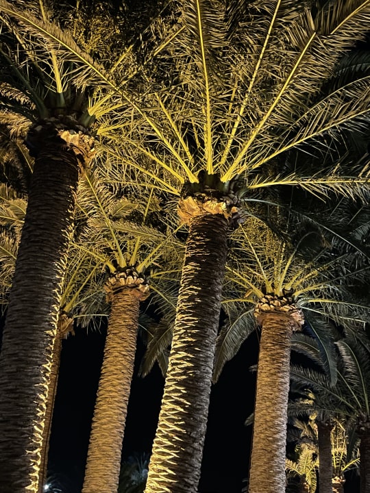 Gartenanlage Anissa Beach & Village