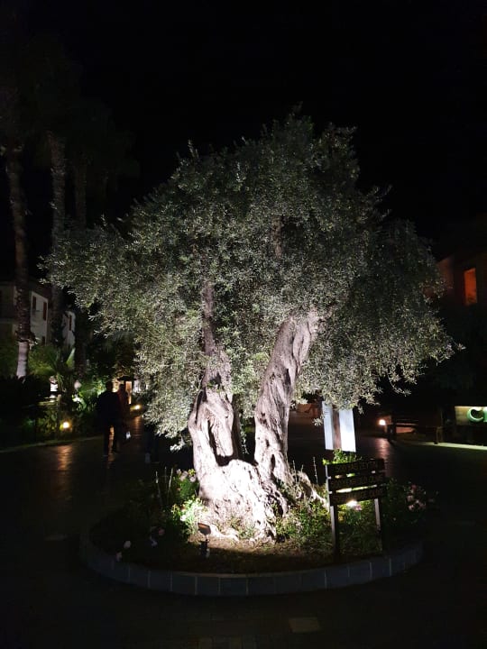 Außenansicht Club Grand Side