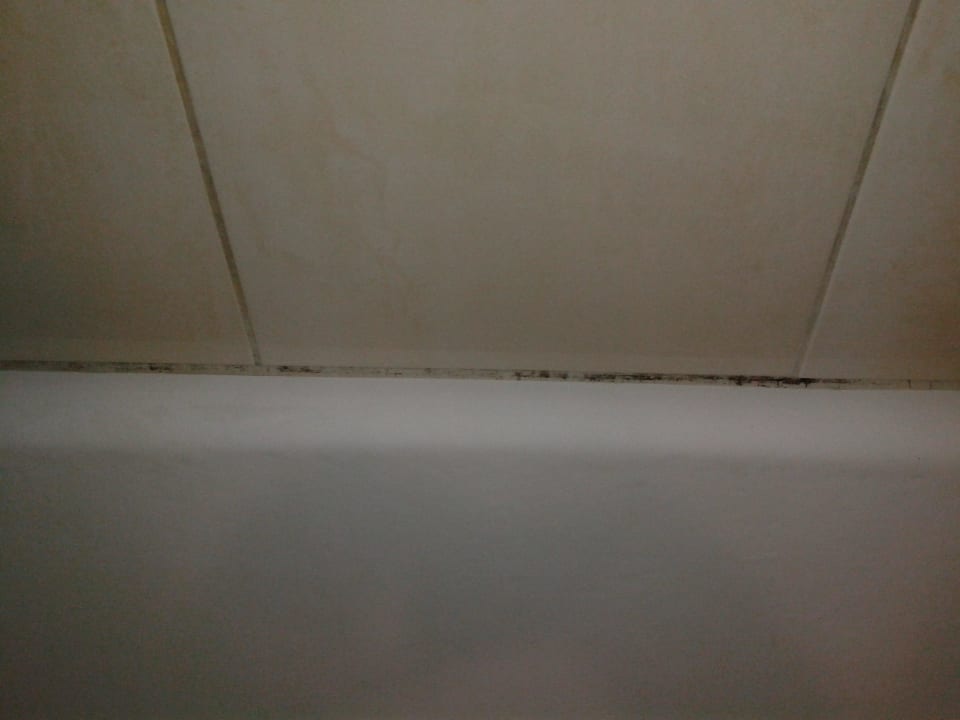 Pleśń raz jeszcze Prestige Alanya