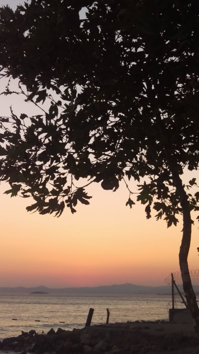 Ausblick beim Essen Dogan Paradise Beach