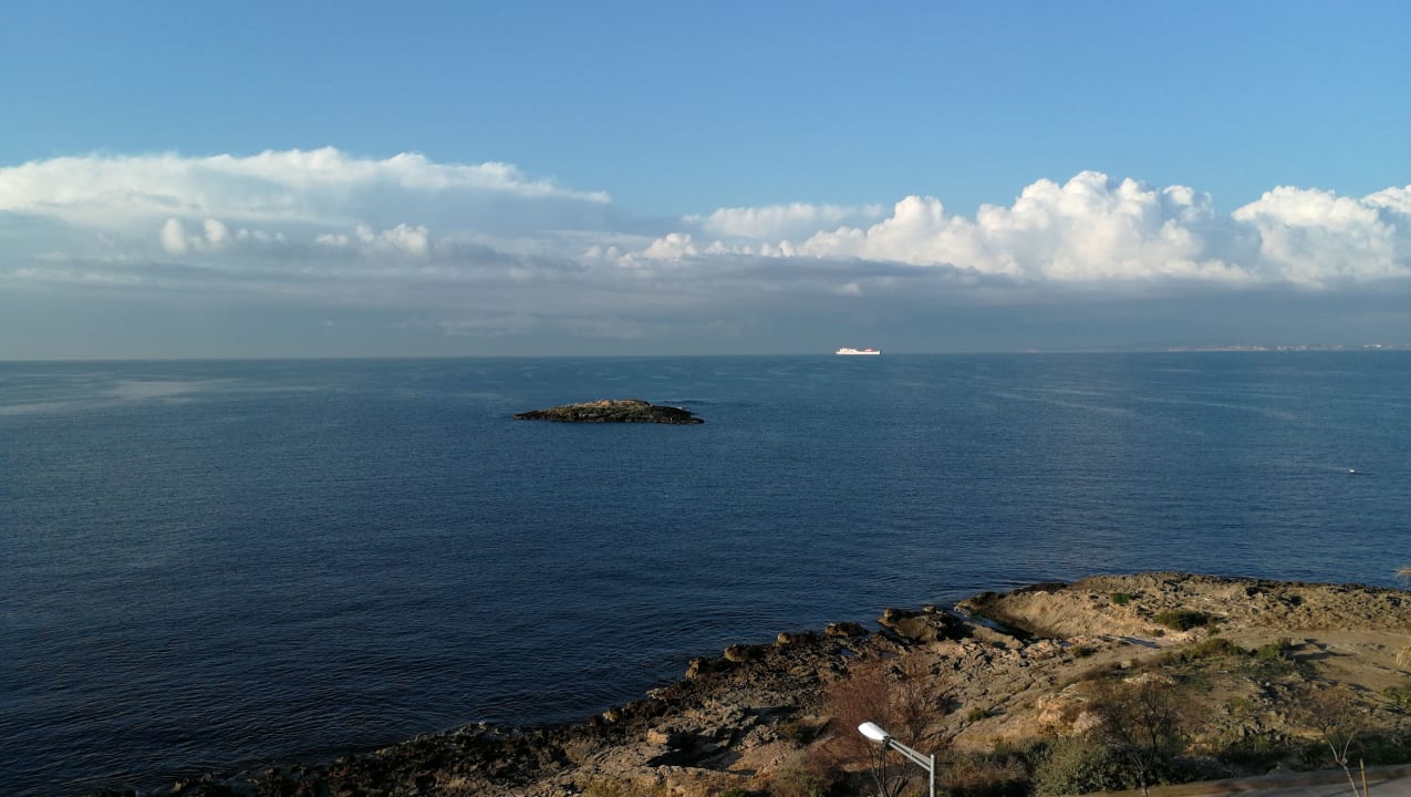 Toller Meerblick AluaSoul Palma