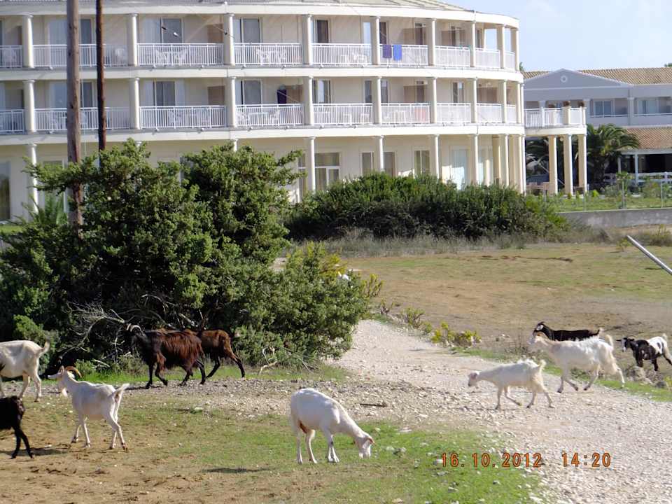 Vor dem Gelände, Blick auf Wellnessbau Sandy Beach Resort