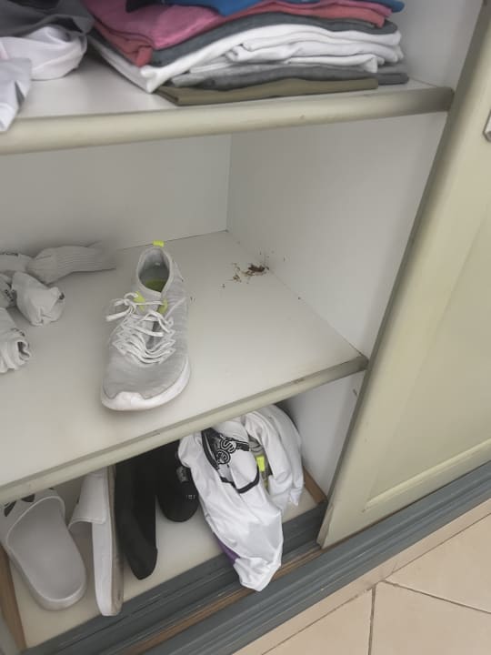 Zimmer allsun App.-Hotel Albatros