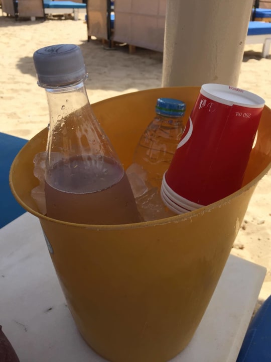 Bar Pickalbatros White Beach Resort - Hurghada