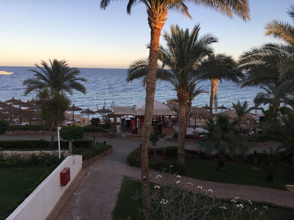 Ausblick von unsere Zimmer 801 Pickalbatros Royal Grand Resort - Sharm El Sheikh