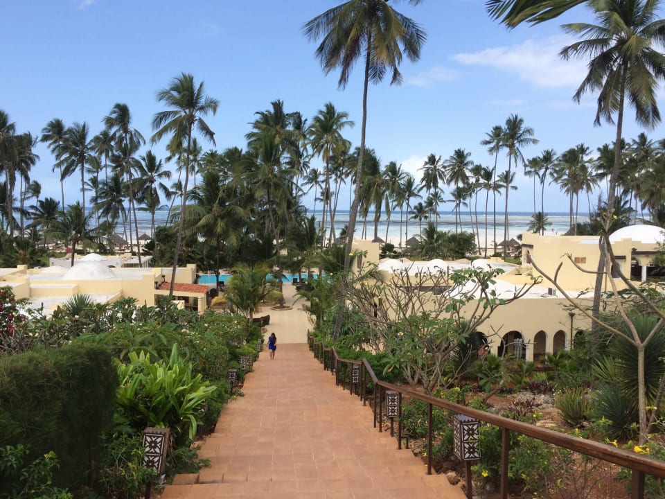 Blick auf Palmen und Strand TUI Blue Bahari Zanzibar