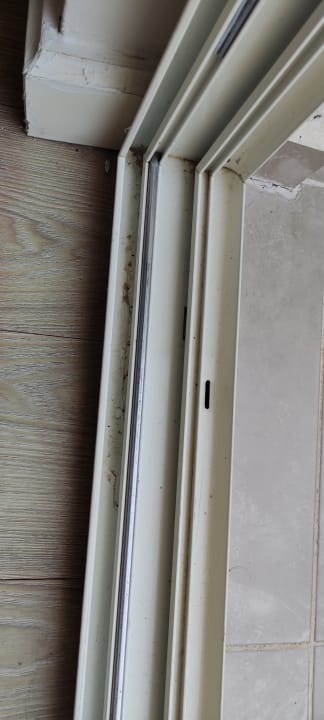 Zimmer Well Palace Side