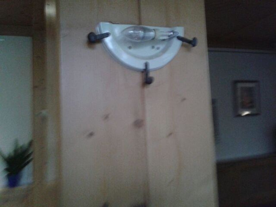 Diese Lampe begrüßt im Eingang Landhotel Harz