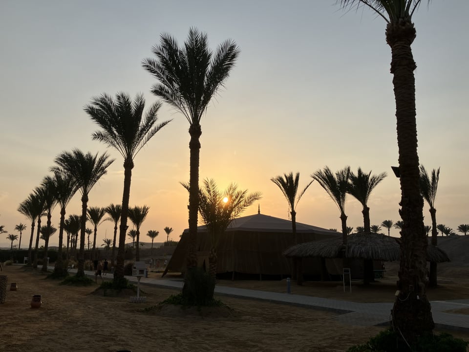 Sonstiges Steigenberger Coraya Beach - Adults only