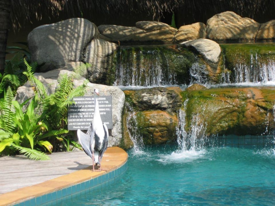 Poolanlage Six Senses Kanuhura