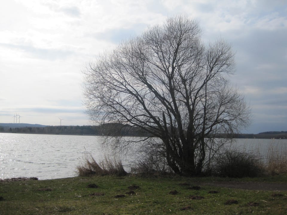 See Center Parcs Park Bostalsee