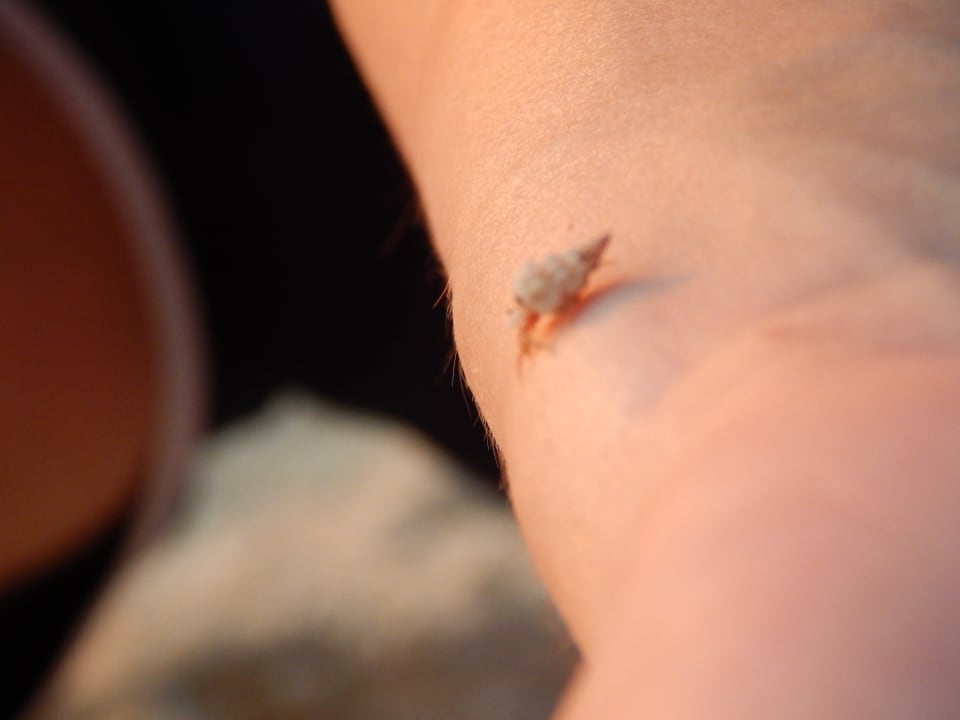 Sonstiges Victoria Beachcomber Resort & Spa