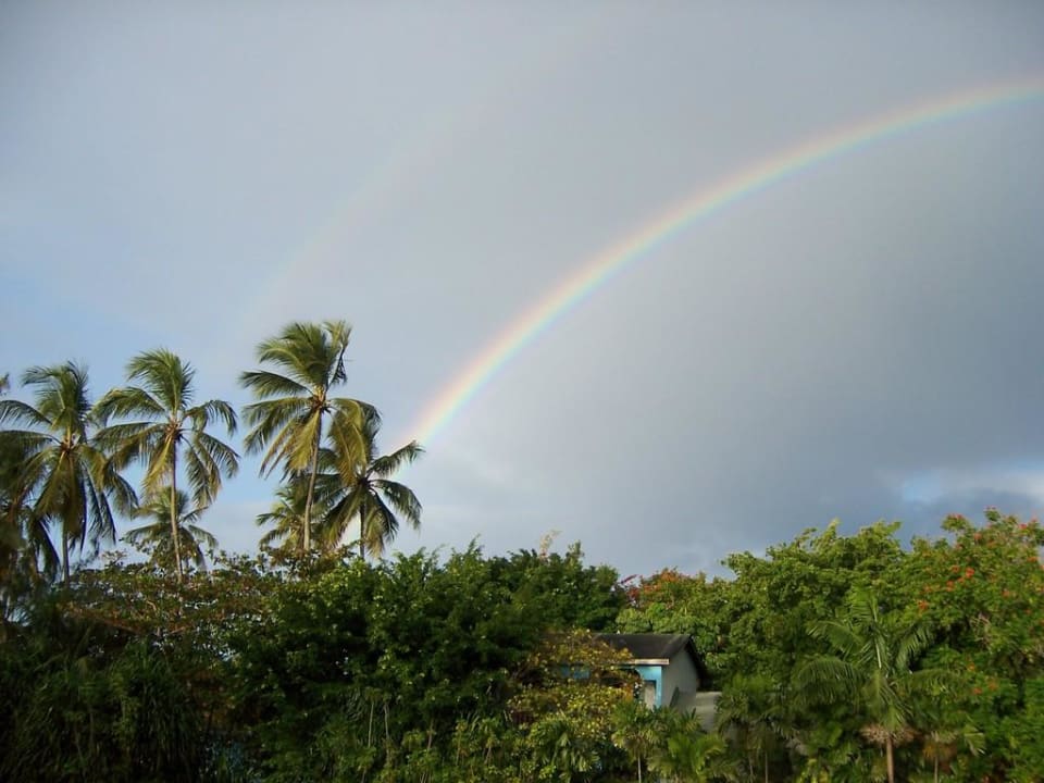Regenbogen whala!boca chica
