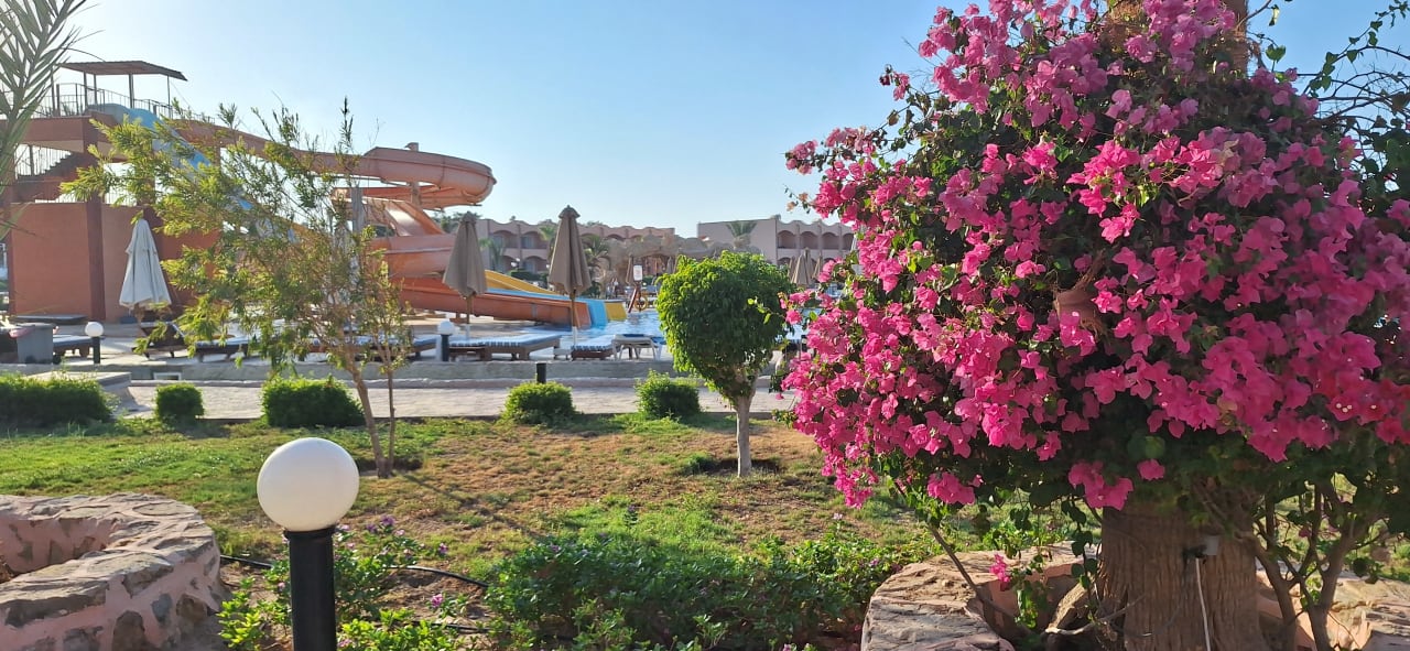 Pool Three Corners Happy Life Beach Resort