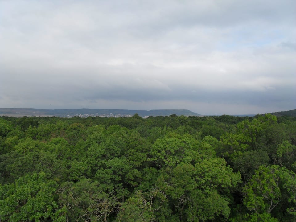 Vom Hoteldach Hotel Mura