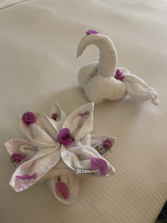 Zimmer DoubleTree by Hilton Resort & Spa Marjan Island