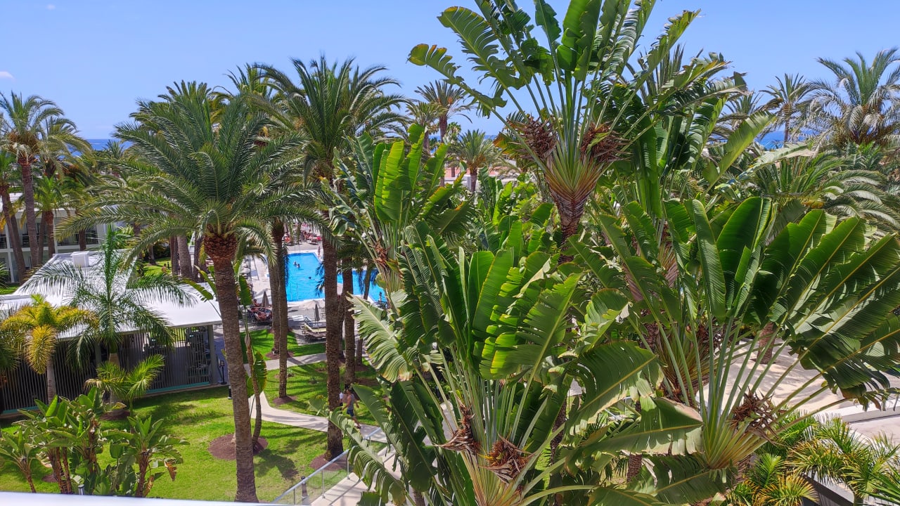 Ausblick Hotel Riu Palace Palmeras