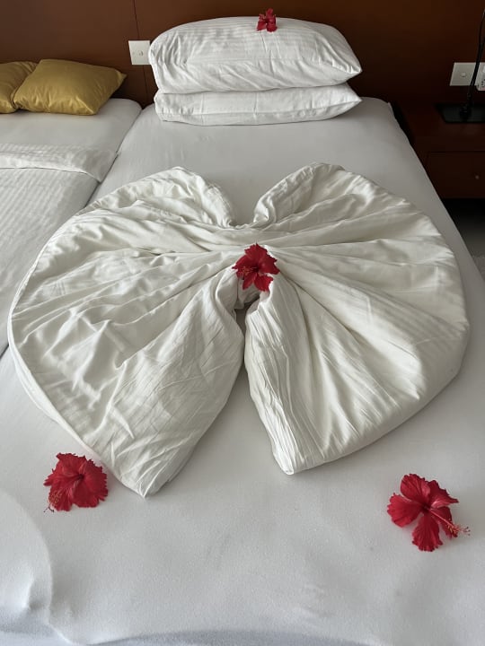 Zimmer Hotel Lanka Princess Ayurveda