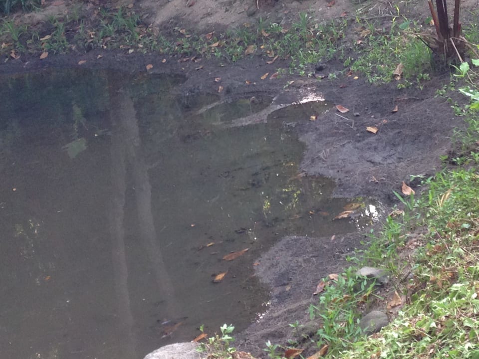 Teich unter der Restaurant-Terrasse Moracea by Khao Lak Resort