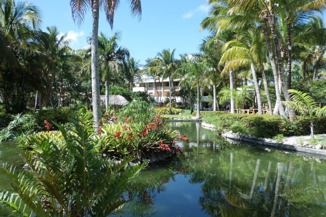 Gartenanlage Catalonia Punta Cana - All Inclusive