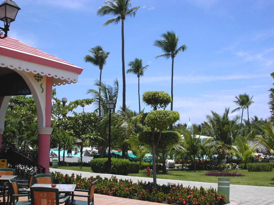 Tolle Anlage Playabachata Hotel