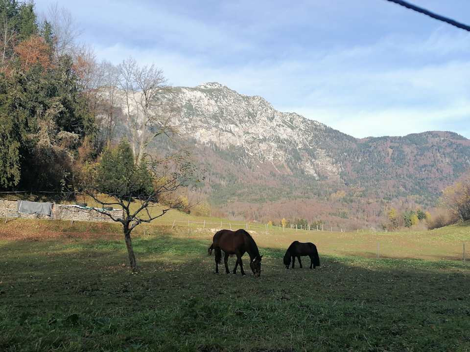 Sport & Freizeit Hotel Bayern Vital