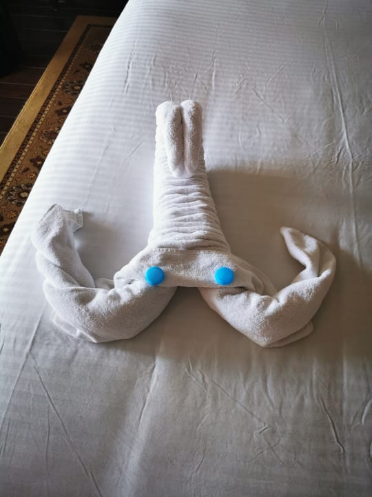 Zimmer Steigenberger Makadi Hotel - Adults only