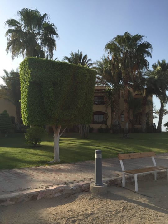 TUI findet man auch mal so Steigenberger Coraya Beach - Adults only