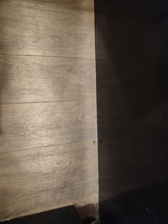 Zimmer Hotel Munich City